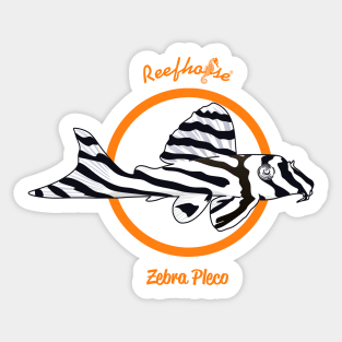 Zebra Pleco Sticker